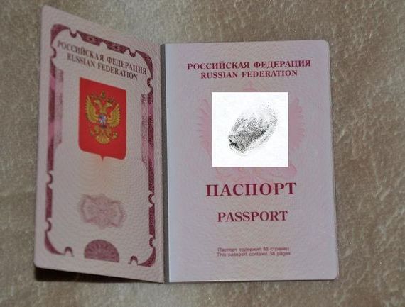 прописка в Козьмодемьянске